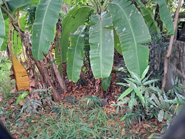 Residential Plot in Maradu for resale Kochi. The reference number is 19295957