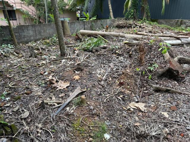 Residential Plot in Maradu for resale Kochi. The reference number is 20934181
