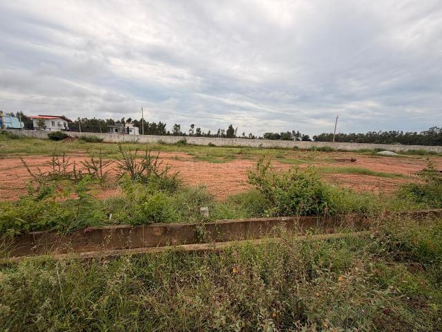Residential Plot in Marasandra Plantation for resale Kolar. The reference number is 21282751