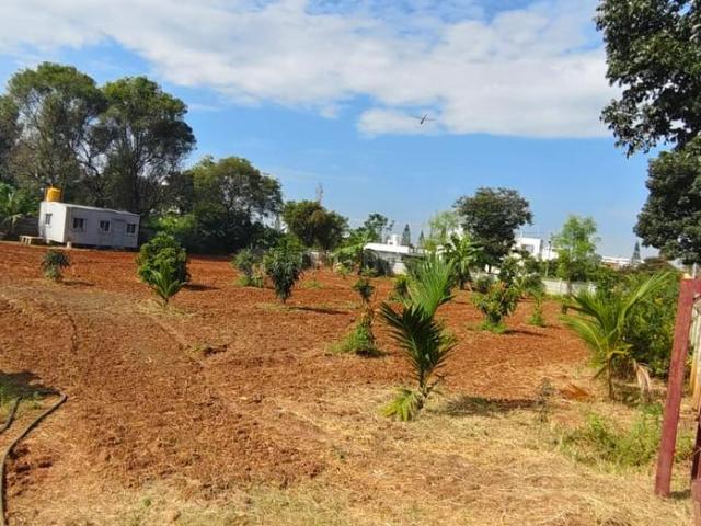 Residential Plot in Marsur for resale Bengaluru. The reference number is 18763983