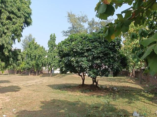 Residential Plot in Maruti Kunj for resale Gurgaon. The reference number is 21291937