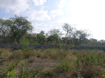 Residential Plot in Marunji for resale Pune. The reference number is 20481949
