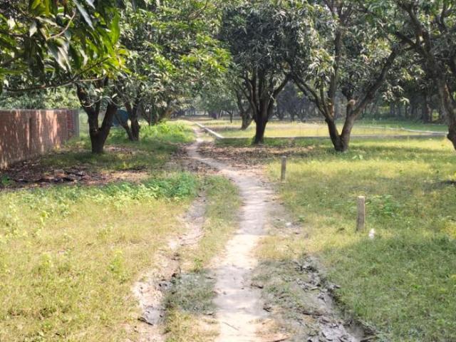 Residential Plot in Marwan for resale Muzaffarpur. The reference number is 19268272