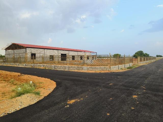 Residential Plot in Mathur for resale Pudukkottai. The reference number is 20283401