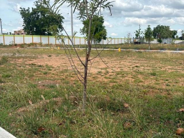 Residential Plot in Mathur for resale Pudukkottai. The reference number is 20971332