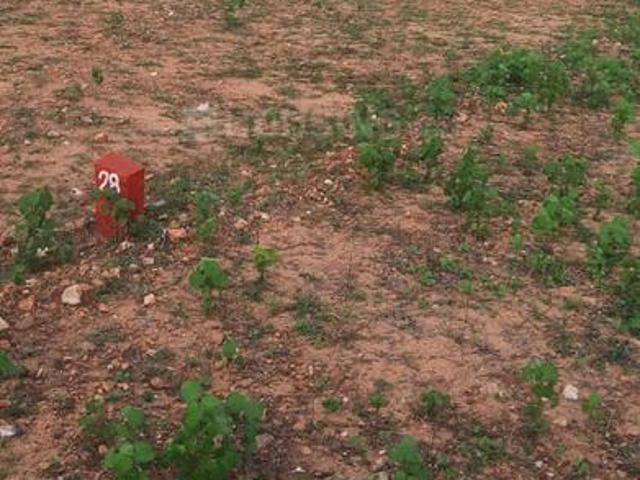 Residential Plot in Mathur for resale Pudukkottai. The reference number is 21057269