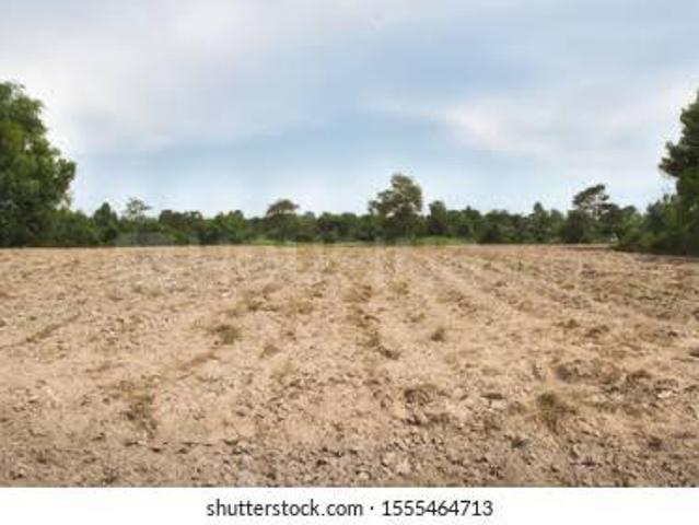 Residential Plot in Mavai Village for resale Faridabad. The reference number is 15656481