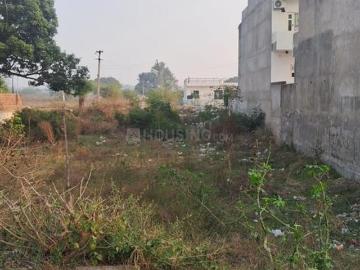 Residential Plot in MDC Sector 2 for resale Panchkula. The reference number is 19398311
