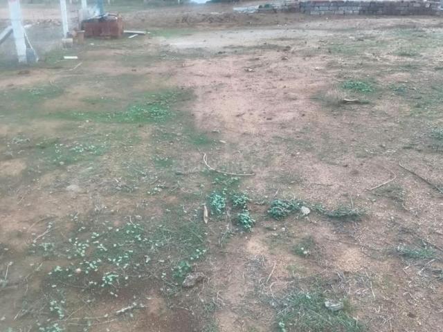 Residential Plot in Melapalayam for resale Tirunelveli. The reference number is 21305273