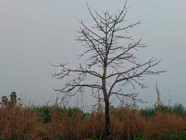Residential Plot in Mhaskal for resale Thane. The reference number is 21014937