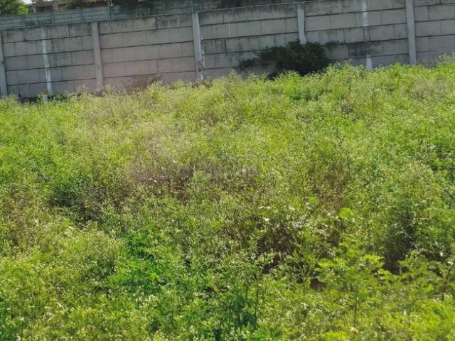 Residential Plot in Mhasrul Gaon for resale Nashik. The reference number is 20693841