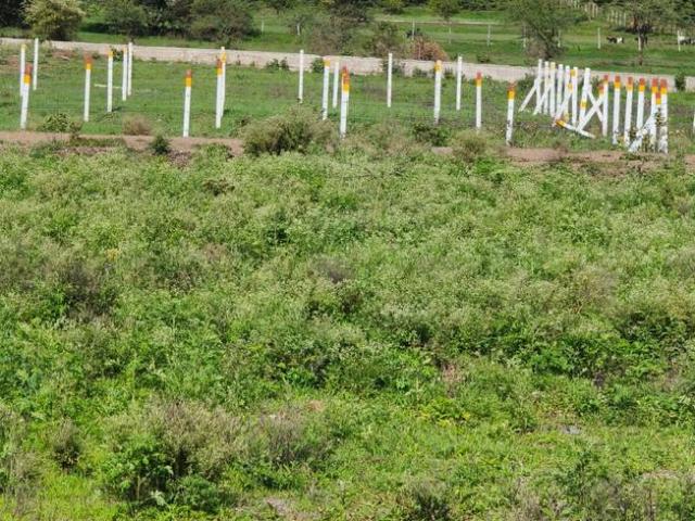 Residential Plot in Mhasrul Gaon for resale Nashik. The reference number is 20702292