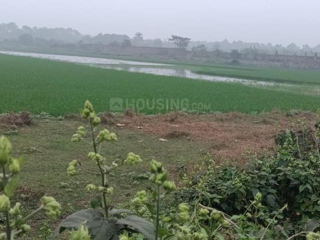 Residential Plot in Jagadishpur, Sonarpur for resale Kolkata. The reference number is 17104075