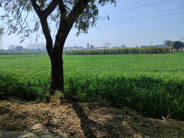 Residential Plot in Modinagar for resale Ghaziabad. The reference number is 14092010