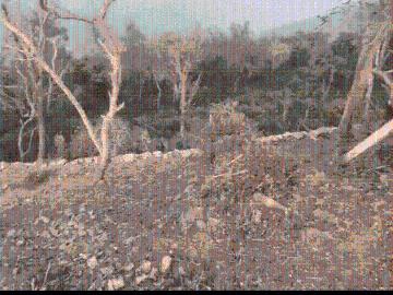 Panchkula District, Punjab