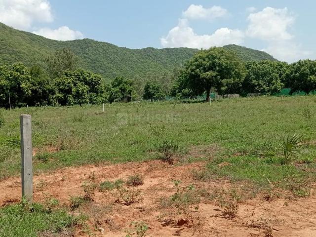 Residential Plot in Nunna for resale Vijayawada. The reference number is 18293266