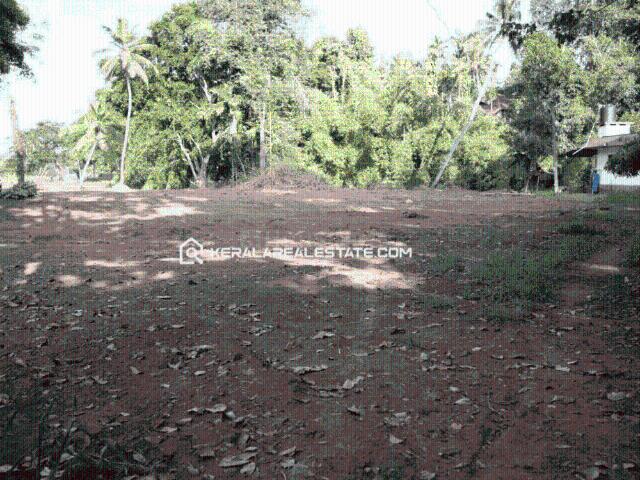 Residential Plot in Nurani for resale Palakkad. The reference number is 20811232