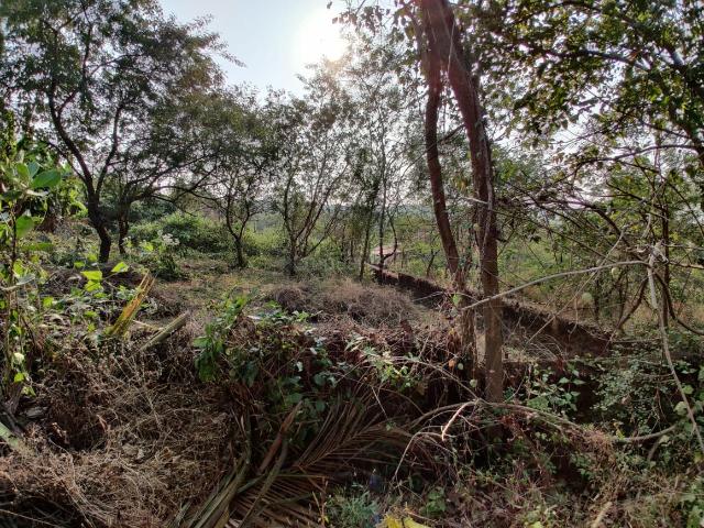 Residential Plot in Nachinola for resale Goa. The reference number is 13695414