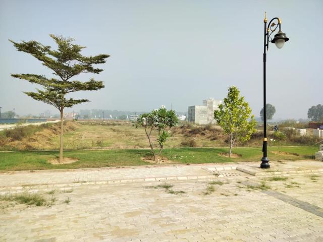 Residential Plot in Nabha for resale Zirakpur. The reference number is 20890256