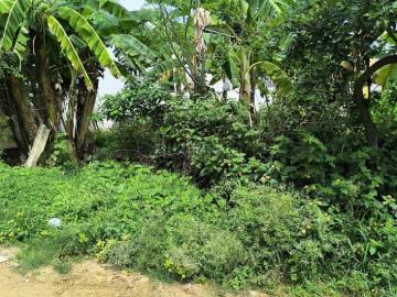 Residential Plot in Nagasandra, Bengaluru North for resale Bengaluru. The reference number is 20538181