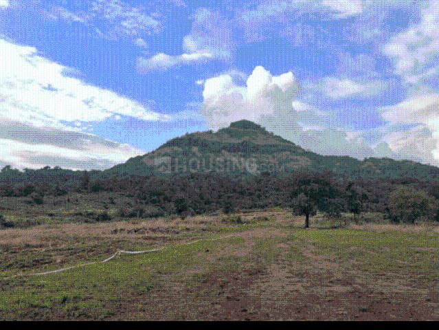 Residential Plot in Nadode for resale Navi Mumbai. The reference number is 20195955