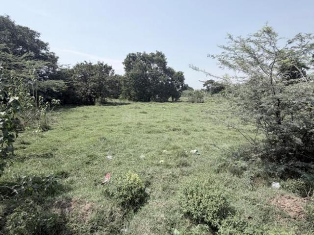 Residential Plot in Naduveerapattu for resale Chennai. The reference number is 21074947