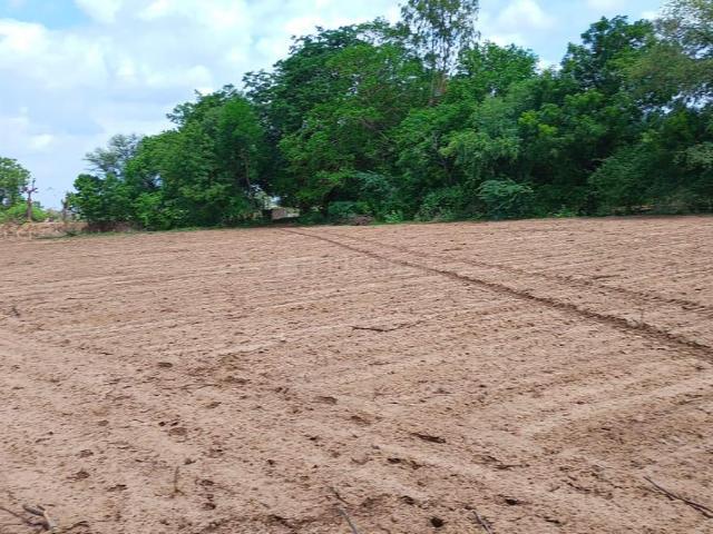 Residential Plot in Nalsarovar for resale Ahmedabad. The reference number is 20039020