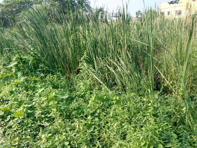 Residential Plot in Nandarampur for resale Kolkata. The reference number is 21362954