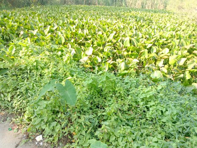 Residential Plot in Nandarampur for resale Kolkata. The reference number is 21362989