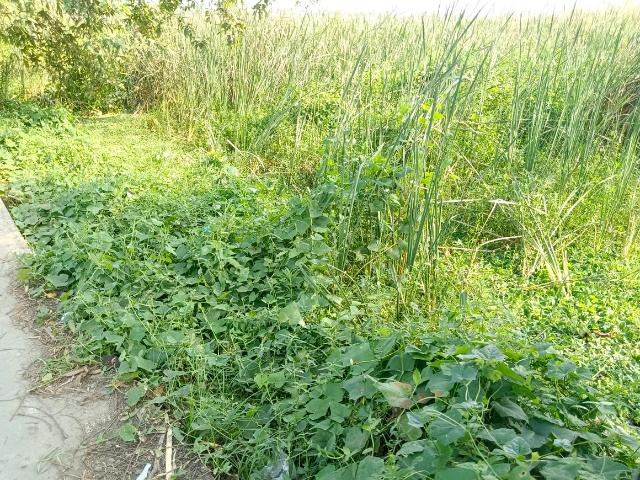 Residential Plot in Nandarampur for resale Kolkata. The reference number is 21363035