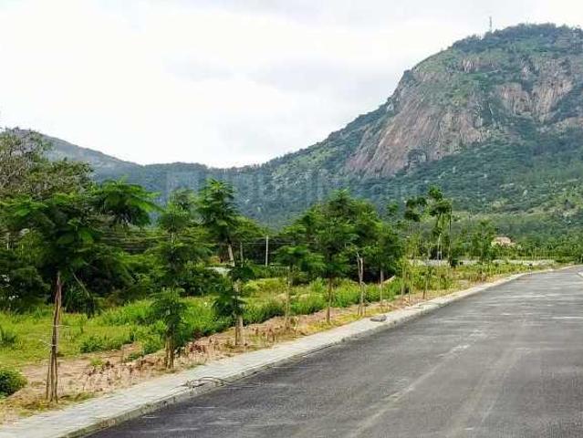 Residential Plot in Nandi Hills for resale Chikballapur District. The reference number is 20210459