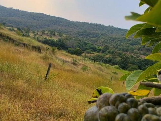 Residential Plot in Nasrapur for resale Pune. The reference number is 21343499