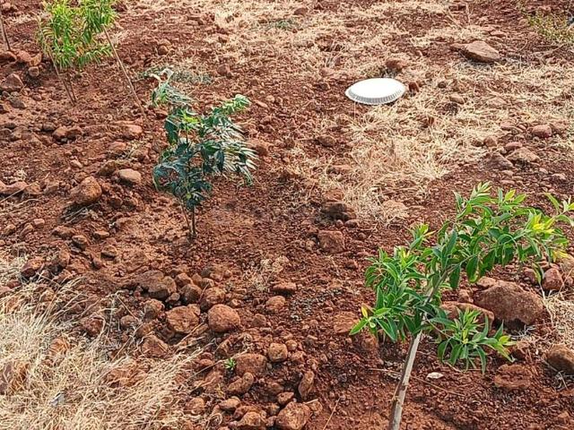 Residential Plot in Narayankhed for resale Sangareddy. The reference number is 13800844