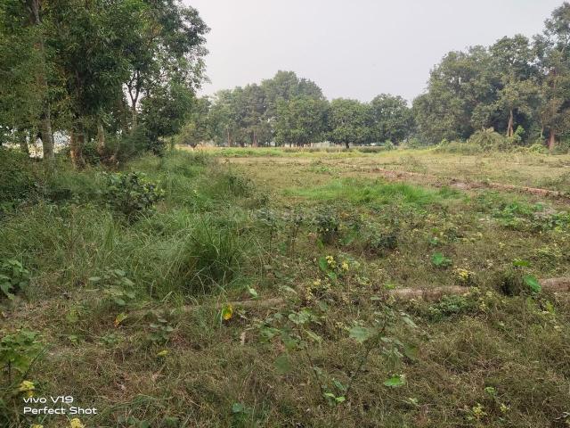 Residential Plot in Narayanpur Anant for resale Muzaffarpur. The reference number is 16167564