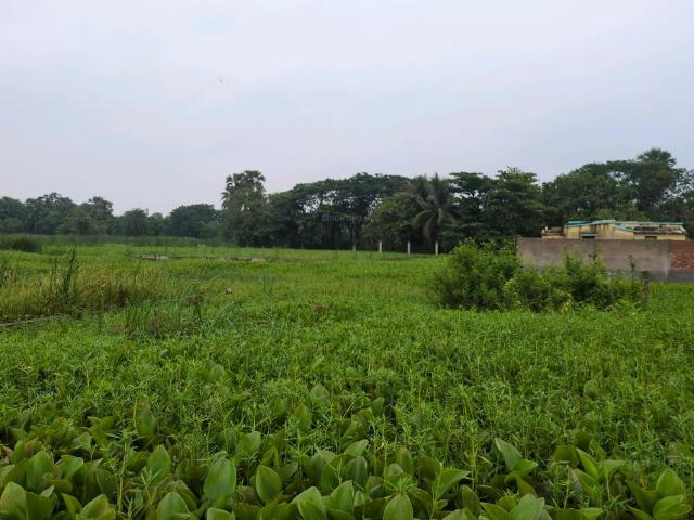Residential Plot in Narendrapur for resale Kolkata. The reference number is 20524770