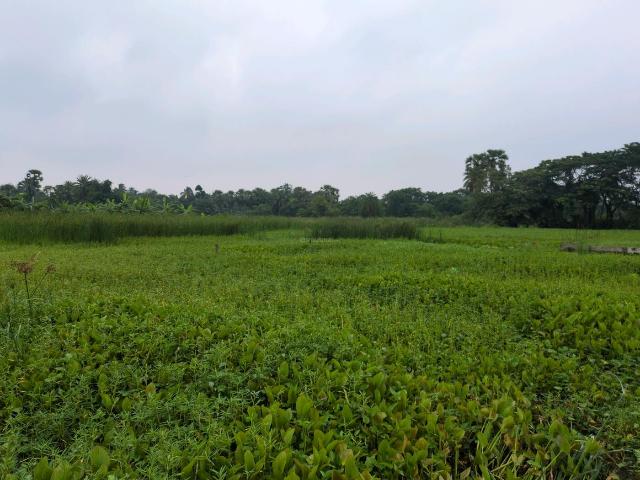 Residential Plot in Narendrapur for resale Kolkata. The reference number is 20525090