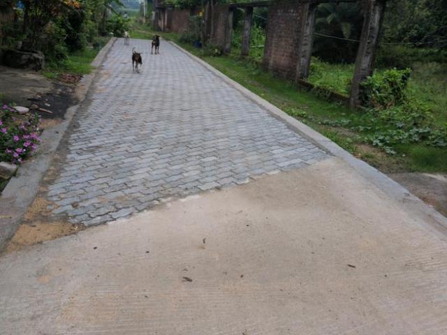 Residential Plot in Narendrapur for resale Kolkata. The reference number is 20525097
