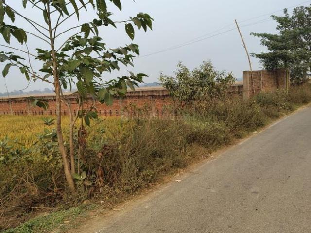 Residential Plot in Naubatpur for resale Patna. The reference number is 18913695