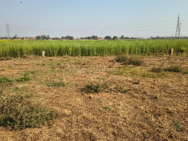 Residential Plot in Naubatpur for resale Patna. The reference number is 19528747