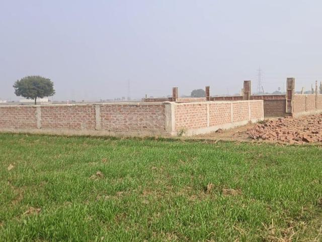 Residential Plot in Naubatpur for resale Patna. The reference number is 19528855