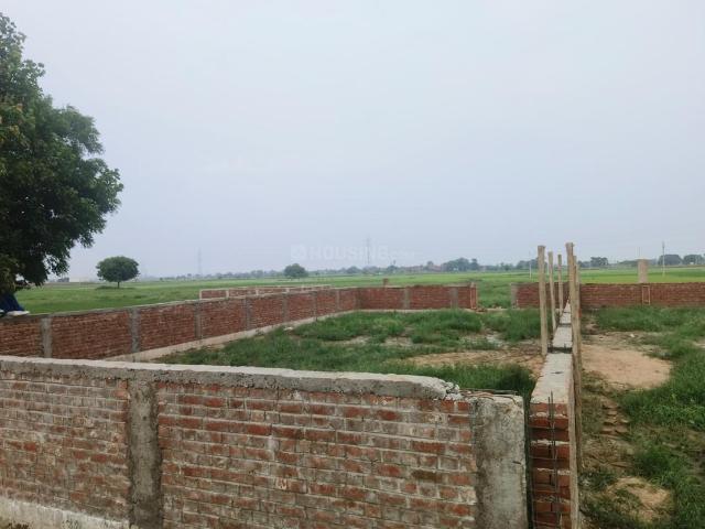 Residential Plot in Naubatpur for resale Patna. The reference number is 19542192