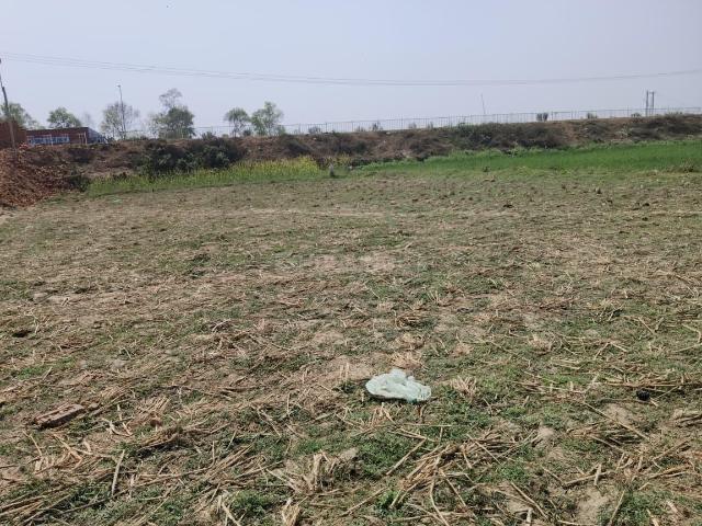 Residential Plot in Naubatpur for resale Patna. The reference number is 19769957