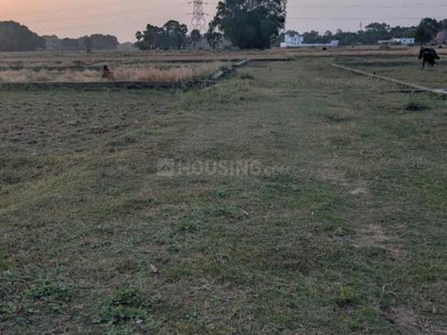 Residential Plot in Naubatpur for resale Patna. The reference number is 19981076