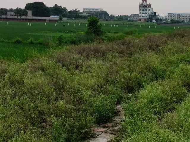 Residential Plot in Naubatpur for resale Patna. The reference number is 21008843