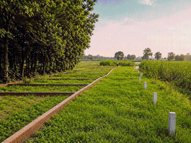 Residential Plot in Naubatpur for resale Patna. The reference number is 21009447