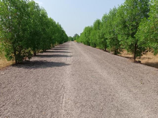 Residential Plot in Naya Raipur for resale Raipur. The reference number is 19661967