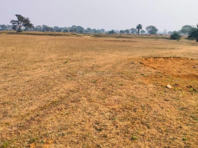 Residential Plot in Naya Raipur for resale Raipur. The reference number is 19784657