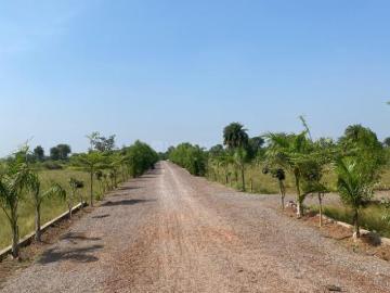 Raipur Village, XU III, Dabra Gautam Buddha Nagar, Gautam Buddha Nagar District, Delhi
