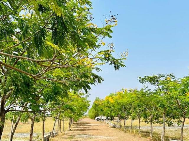 Residential Plot in Naya Raipur for resale Raipur. The reference number is 19791770