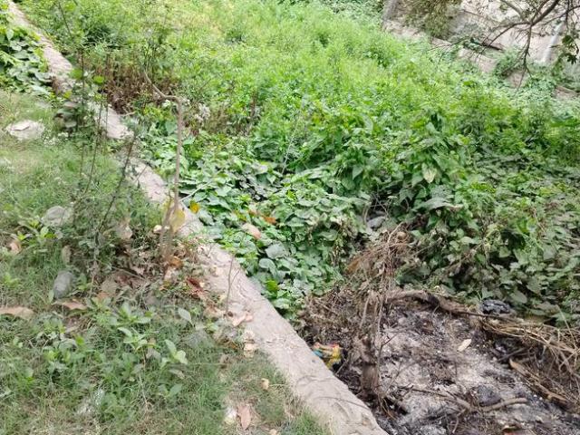 Residential Plot in Nayabad for resale Kolkata. The reference number is 18606976